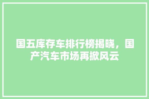 国五库存车排行榜揭晓，国产汽车市场再掀风云
