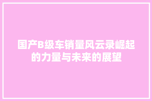 国产B级车销量风云录崛起的力量与未来的展望