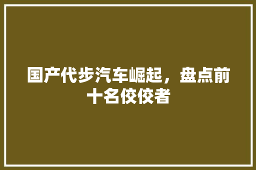 国产代步汽车崛起，盘点前十名佼佼者