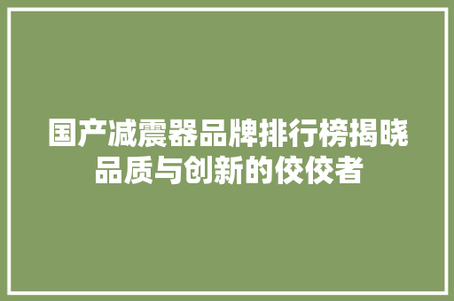 国产减震器品牌排行榜揭晓品质与创新的佼佼者 汽车展览