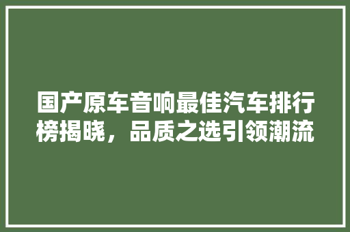国产原车音响最佳汽车排行榜揭晓，品质之选引领潮流