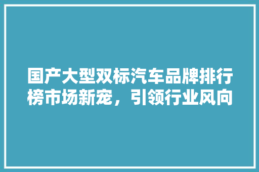 国产大型双标汽车品牌排行榜市场新宠，引领行业风向标