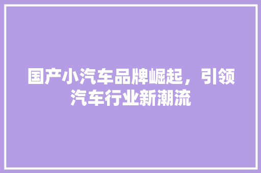 国产小汽车品牌崛起，引领汽车行业新潮流