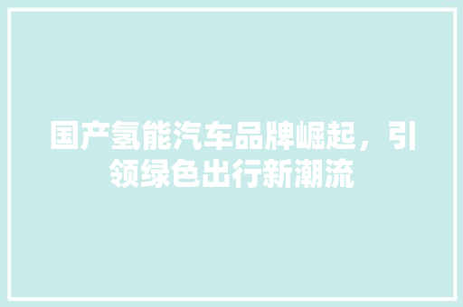 国产氢能汽车品牌崛起，引领绿色出行新潮流