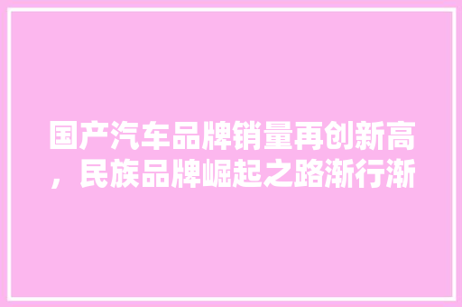 国产汽车品牌销量再创新高，民族品牌崛起之路渐行渐稳