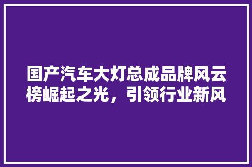 国产汽车大灯总成品牌风云榜崛起之光，引领行业新风向