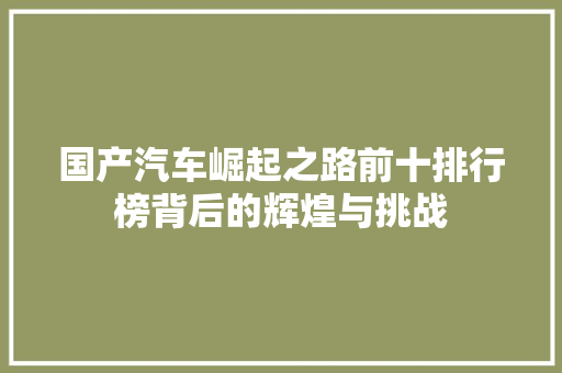 国产汽车崛起之路前十排行榜背后的辉煌与挑战 车型评测