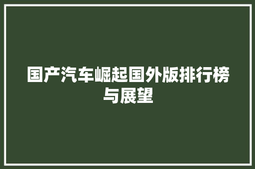 国产汽车崛起国外版排行榜与展望 车载导航