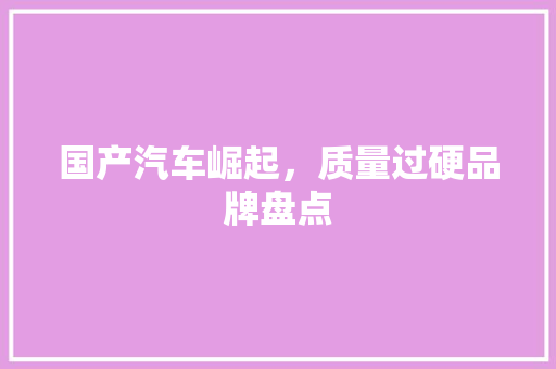 国产汽车崛起，质量过硬品牌盘点
