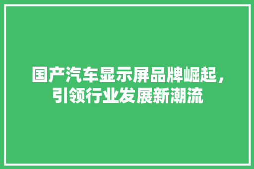 国产汽车显示屏品牌崛起，引领行业发展新潮流