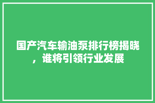 国产汽车输油泵排行榜揭晓，谁将引领行业发展 汽车保养