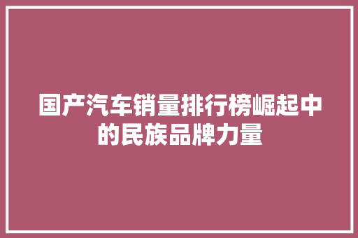 国产汽车销量排行榜崛起中的民族品牌力量