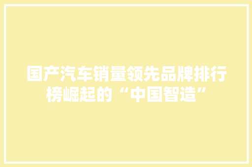国产汽车销量领先品牌排行榜崛起的“中国智造”
