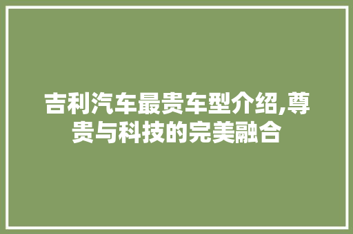 吉利汽车最贵车型介绍,尊贵与科技的完美融合