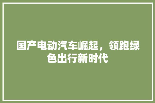 国产电动汽车崛起，领跑绿色出行新时代 自动驾驶
