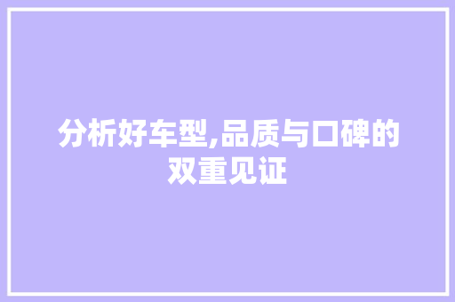 分析好车型,品质与口碑的双重见证 汽车轮胎