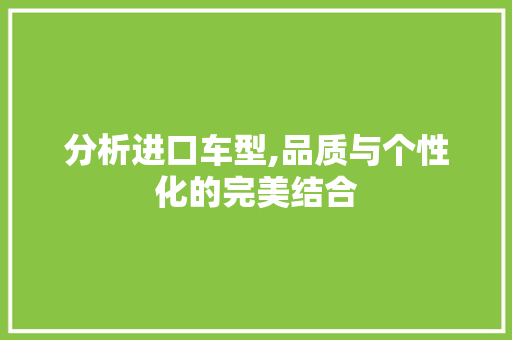 分析进口车型,品质与个性化的完美结合
