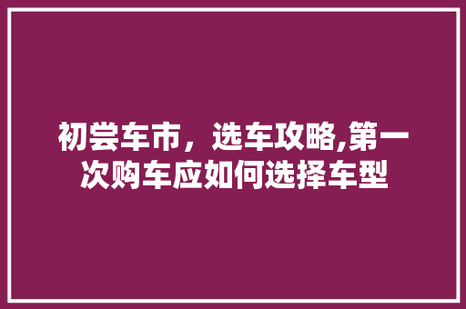初尝车市，选车攻略,第一次购车应如何选择车型