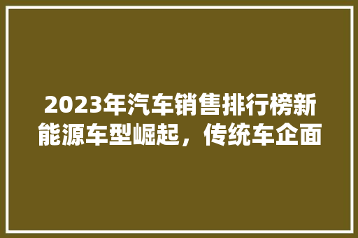 2023年汽车销售排行榜新能源车型崛起，传统车企面临挑战