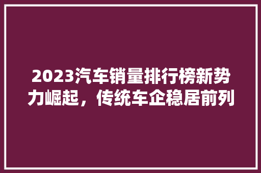 2023汽车销量排行榜新势力崛起，传统车企稳居前列