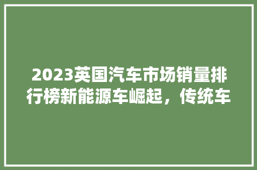 2023英国汽车市场销量排行榜新能源车崛起，传统车企面临挑战