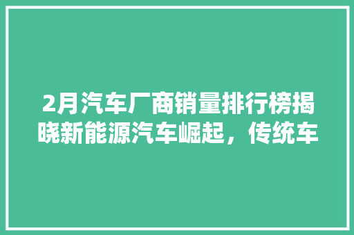 2月汽车厂商销量排行榜揭晓新能源汽车崛起，传统车企加速转型