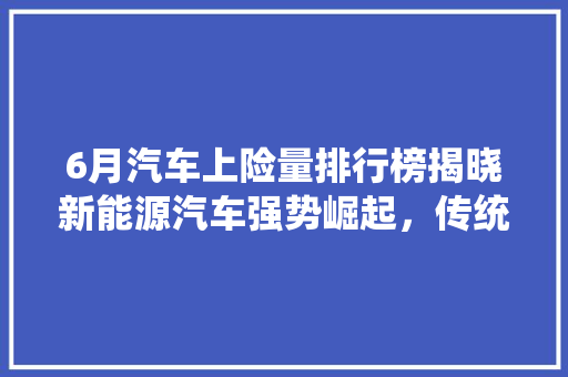 6月汽车上险量排行榜揭晓新能源汽车强势崛起，传统车型面临挑战