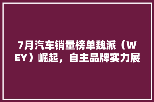 7月汽车销量榜单魏派（WEY）崛起，自主品牌实力展现