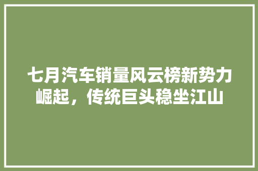 七月汽车销量风云榜新势力崛起，传统巨头稳坐江山