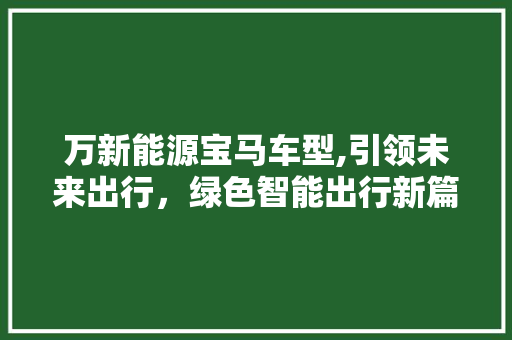 万新能源宝马车型,引领未来出行，绿色智能出行新篇章