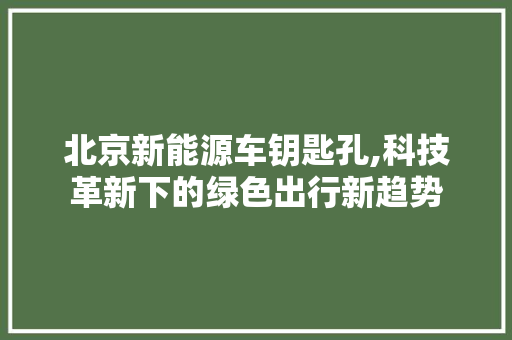 北京新能源车钥匙孔,科技革新下的绿色出行新趋势