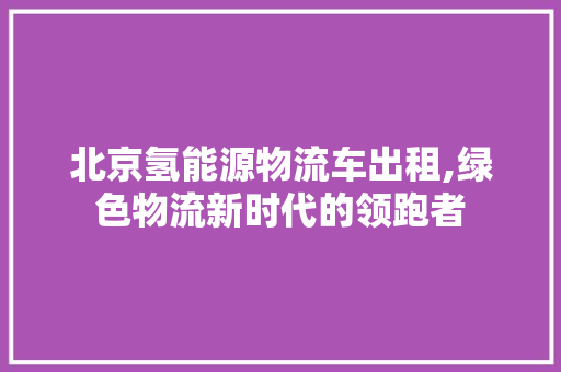 北京氢能源物流车出租,绿色物流新时代的领跑者