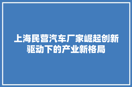 上海民营汽车厂家崛起创新驱动下的产业新格局 智能驾驶