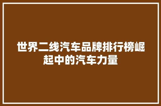 世界二线汽车品牌排行榜崛起中的汽车力量
