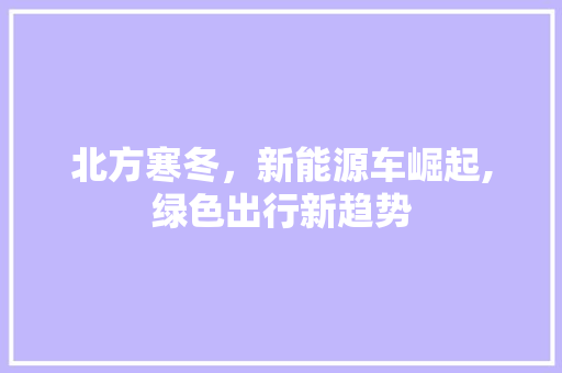 北方寒冬，新能源车崛起,绿色出行新趋势