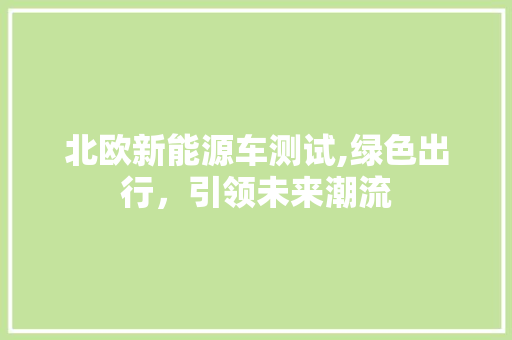 北欧新能源车测试,绿色出行，引领未来潮流