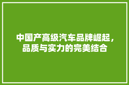 中国产高级汽车品牌崛起，品质与实力的完美结合