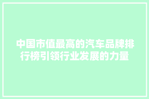 中国市值最高的汽车品牌排行榜引领行业发展的力量