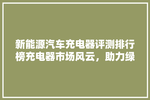 新能源汽车充电器评测排行榜充电器市场风云，助力绿色出行