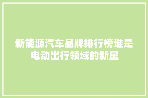 新能源汽车品牌排行榜谁是电动出行领域的新星