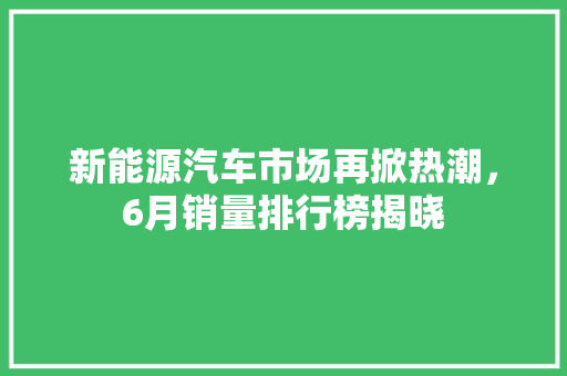 新能源汽车市场再掀热潮，6月销量排行榜揭晓