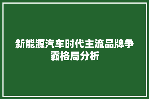 新能源汽车时代主流品牌争霸格局分析 自动驾驶