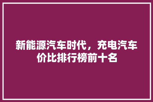 新能源汽车时代，充电汽车价比排行榜前十名 汽车展览