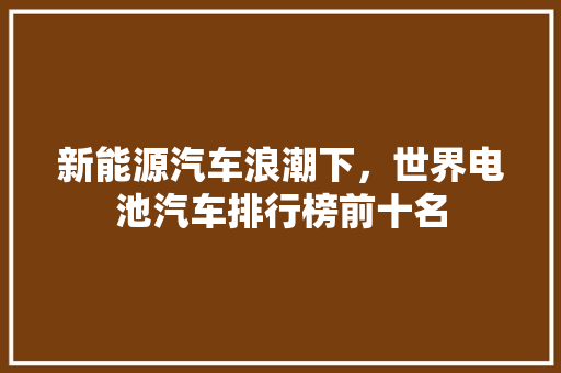 新能源汽车浪潮下，世界电池汽车排行榜前十名