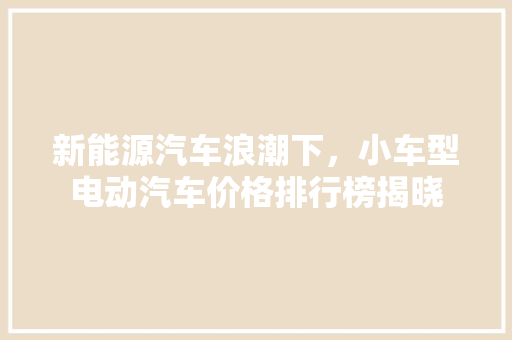 新能源汽车浪潮下，小车型电动汽车价格排行榜揭晓