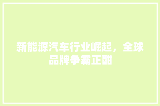 新能源汽车行业崛起，全球品牌争霸正酣 汽车保养