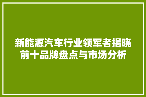 新能源汽车行业领军者揭晓前十品牌盘点与市场分析 车联网技术