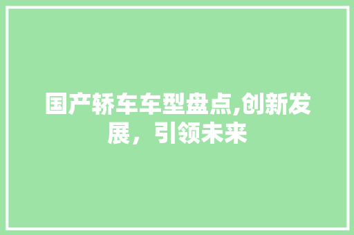 国产轿车车型盘点,创新发展，引领未来