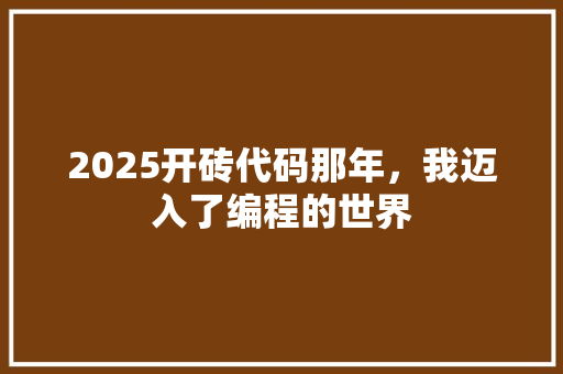 2025开砖代码那年，我迈入了编程的世界