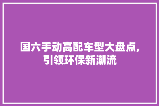 国六手动高配车型大盘点,引领环保新潮流